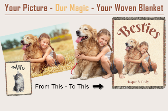 pets blanket main page